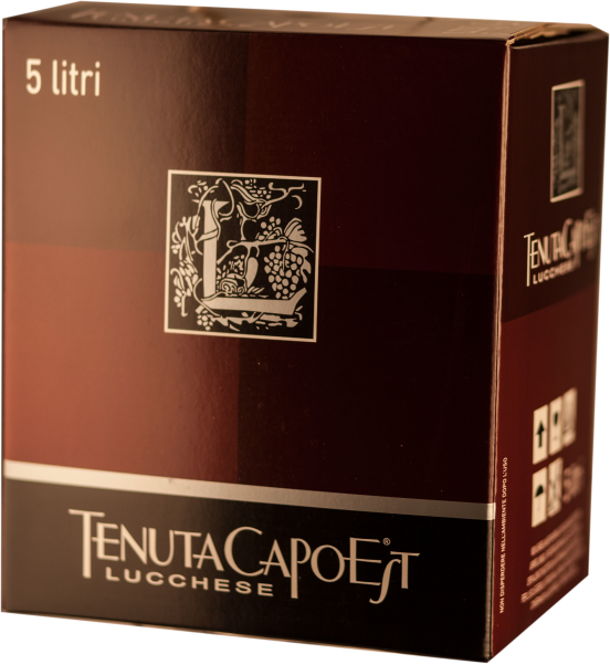 Tenuta CapoEst Lucchese Pinot Bianco Weisswein IGT Weinschlauch 5 Liter